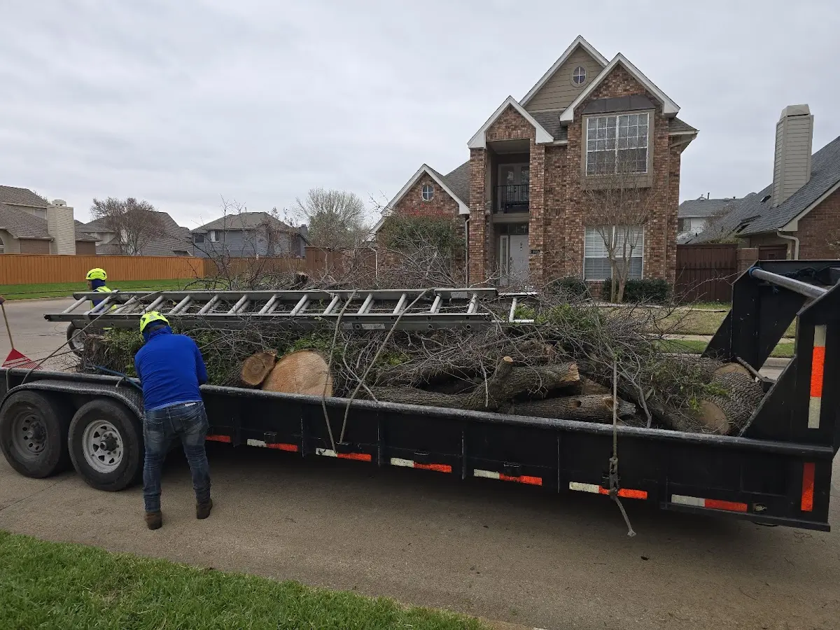 Expert Tree Fertilization with proper safety equipment in Hickory Grove